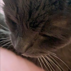 COPY - Meet your Posher, Gwendolyn